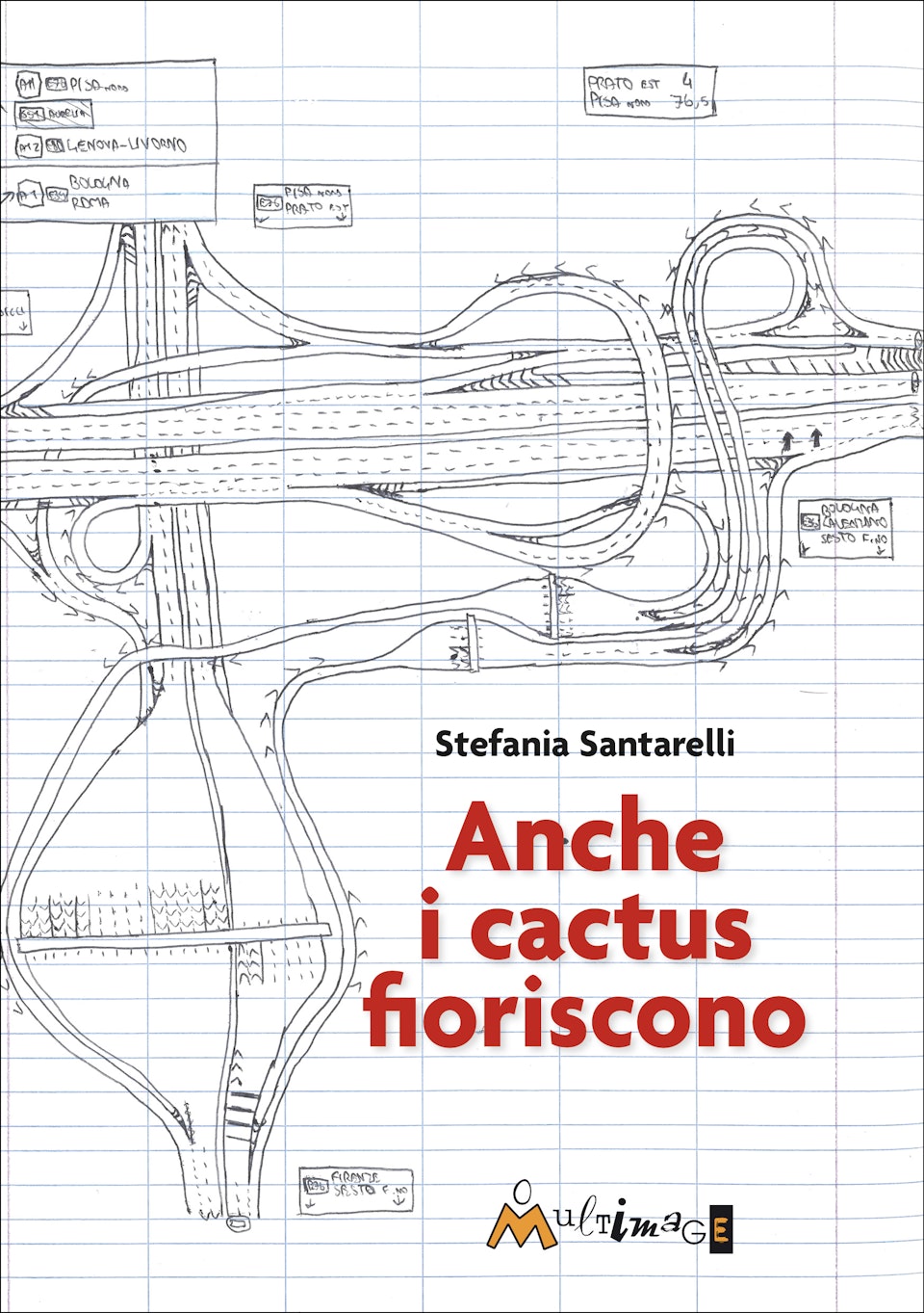 Anche i cactus fioriscono