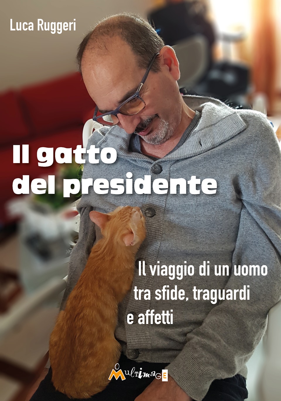 Il gatto del presidente ebook