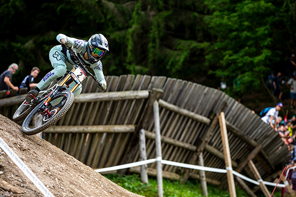 wd 40 mountain bike