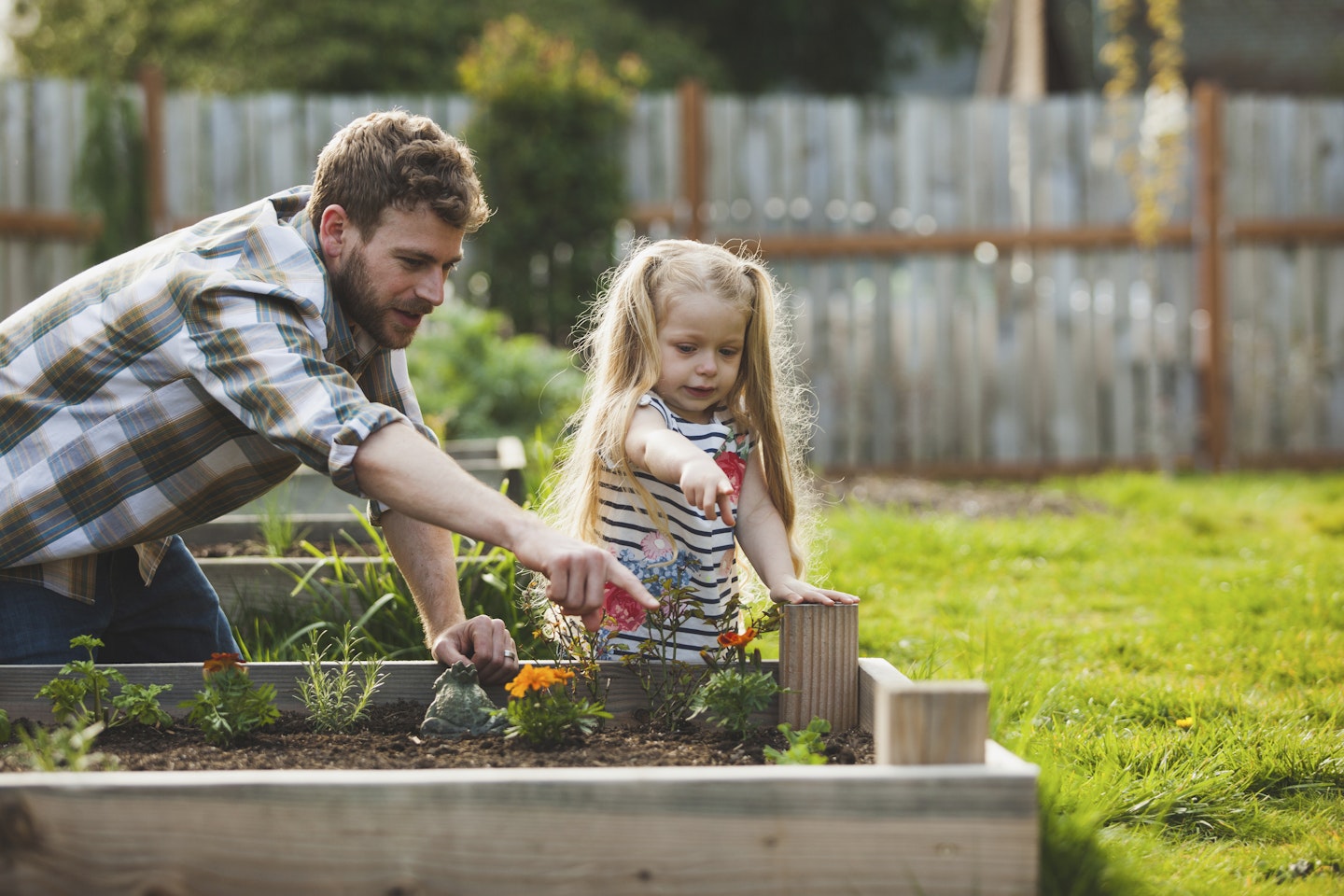 How-to Build a Raised Garden Bed