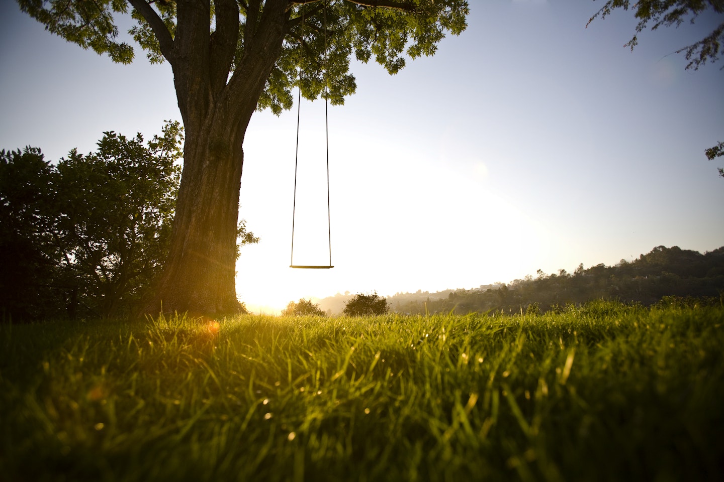 Tips for Creating a Tree Swing
