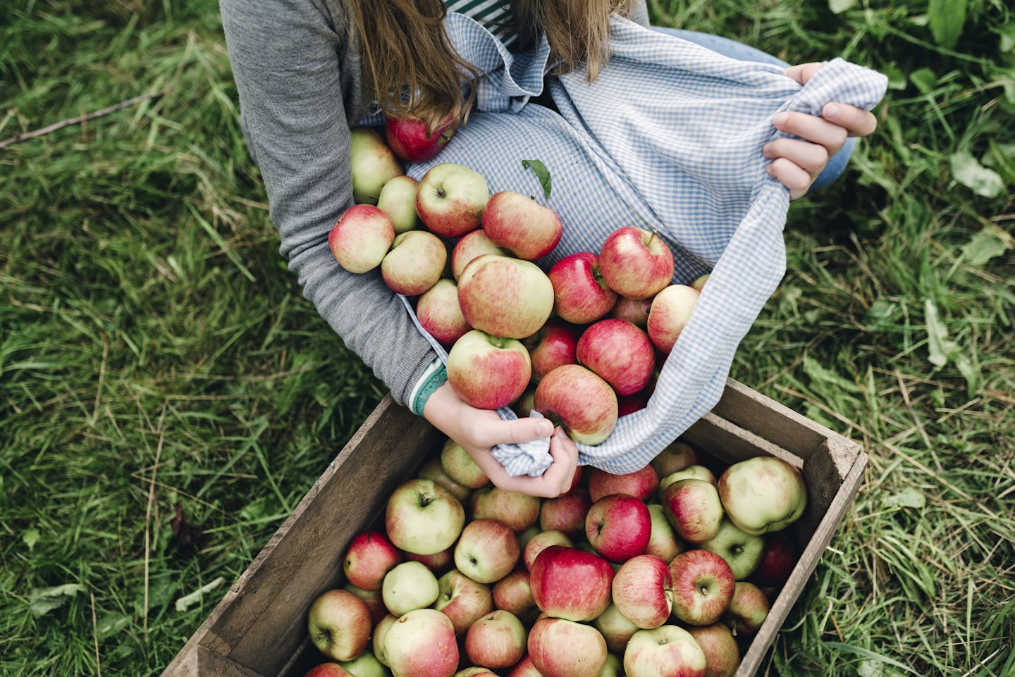 Fun Outdoor Activities for the Fall