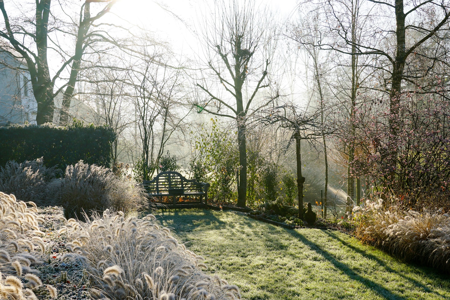 Protect Your Lawn in Winter