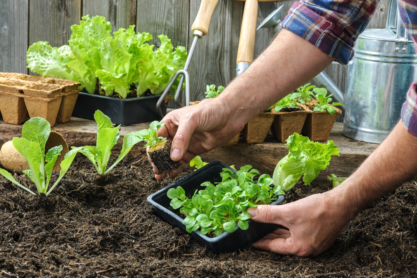 Prepare Your Garden for Spring