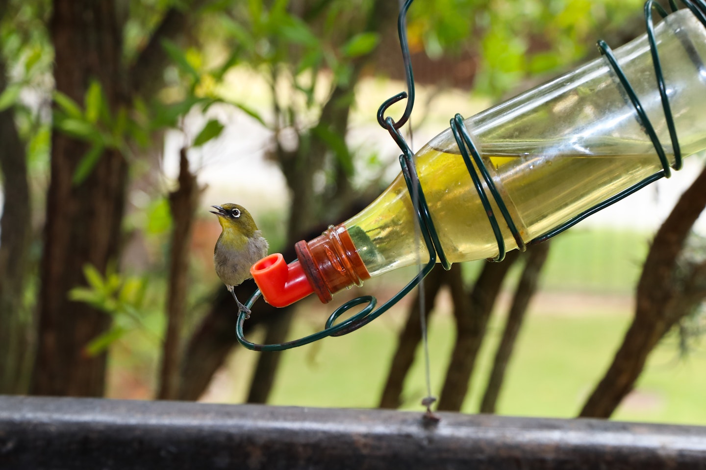 3 Ways to Use Old Glass Bottles