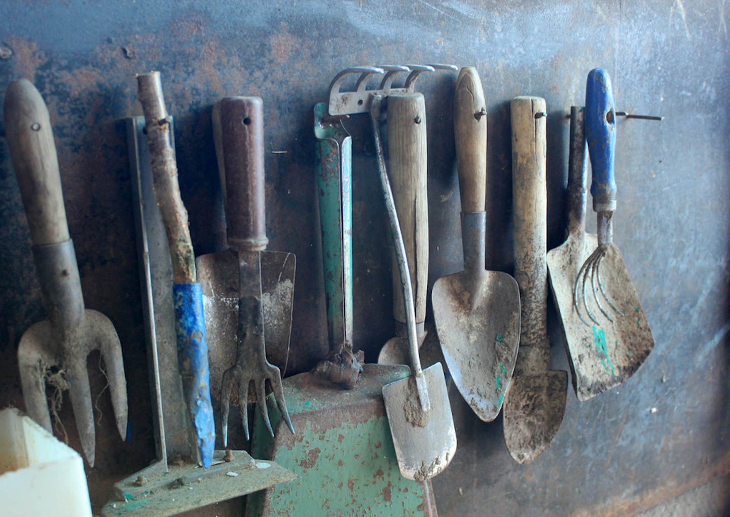 How to Clean Gardening Tools