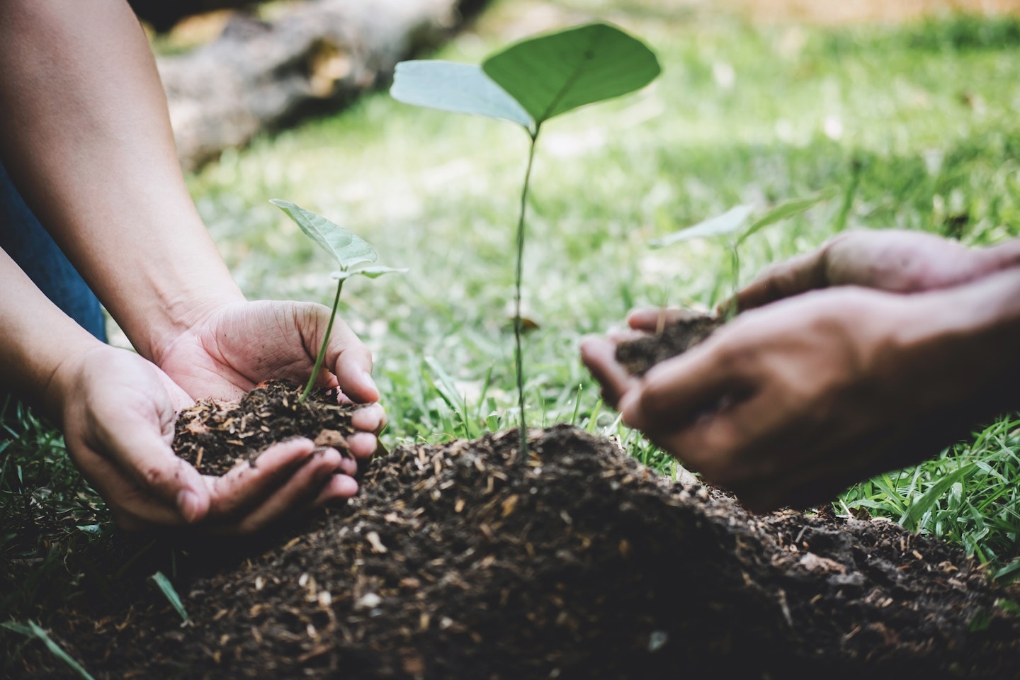 What is Earth Day?