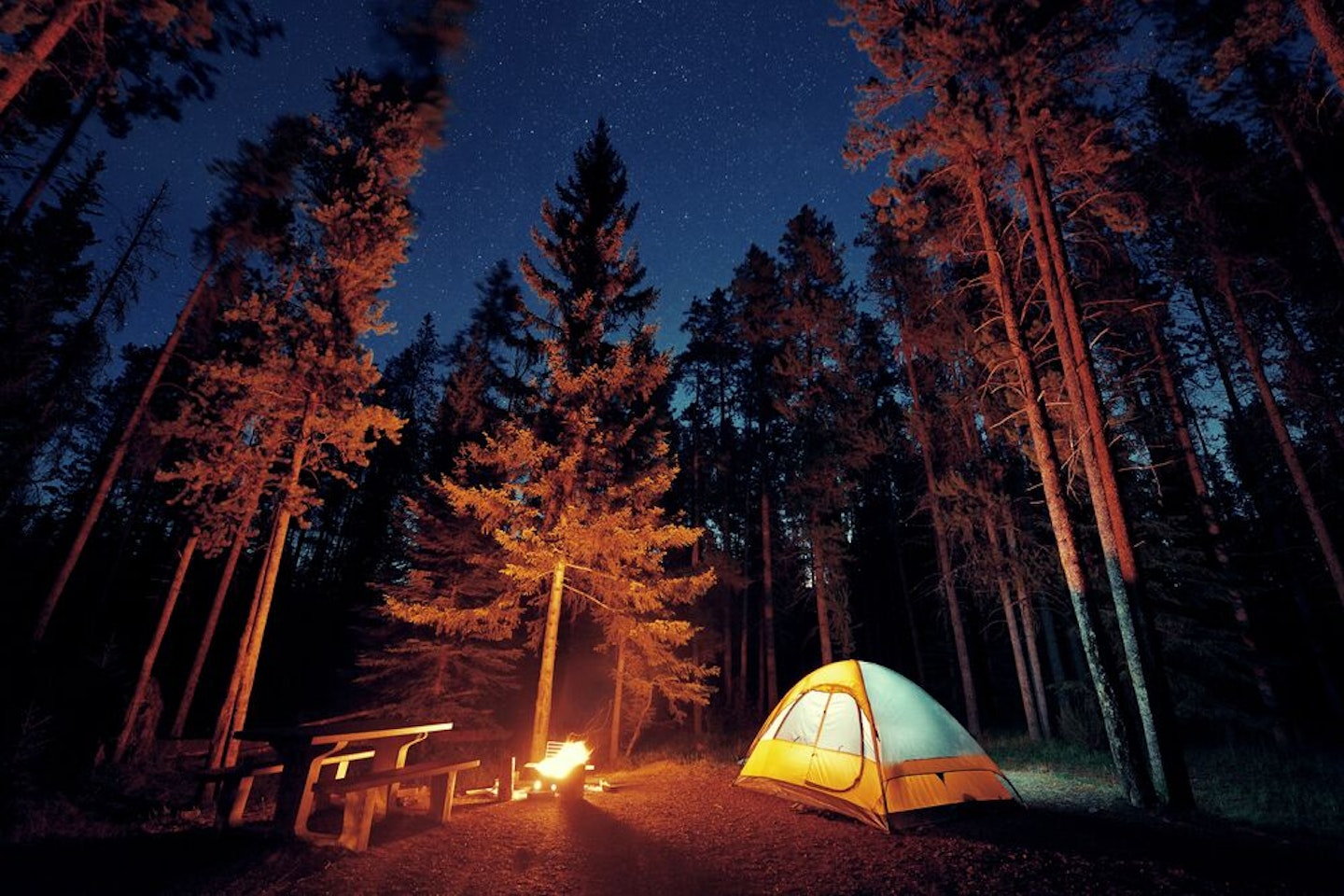 Camping Tips for Summer Trips