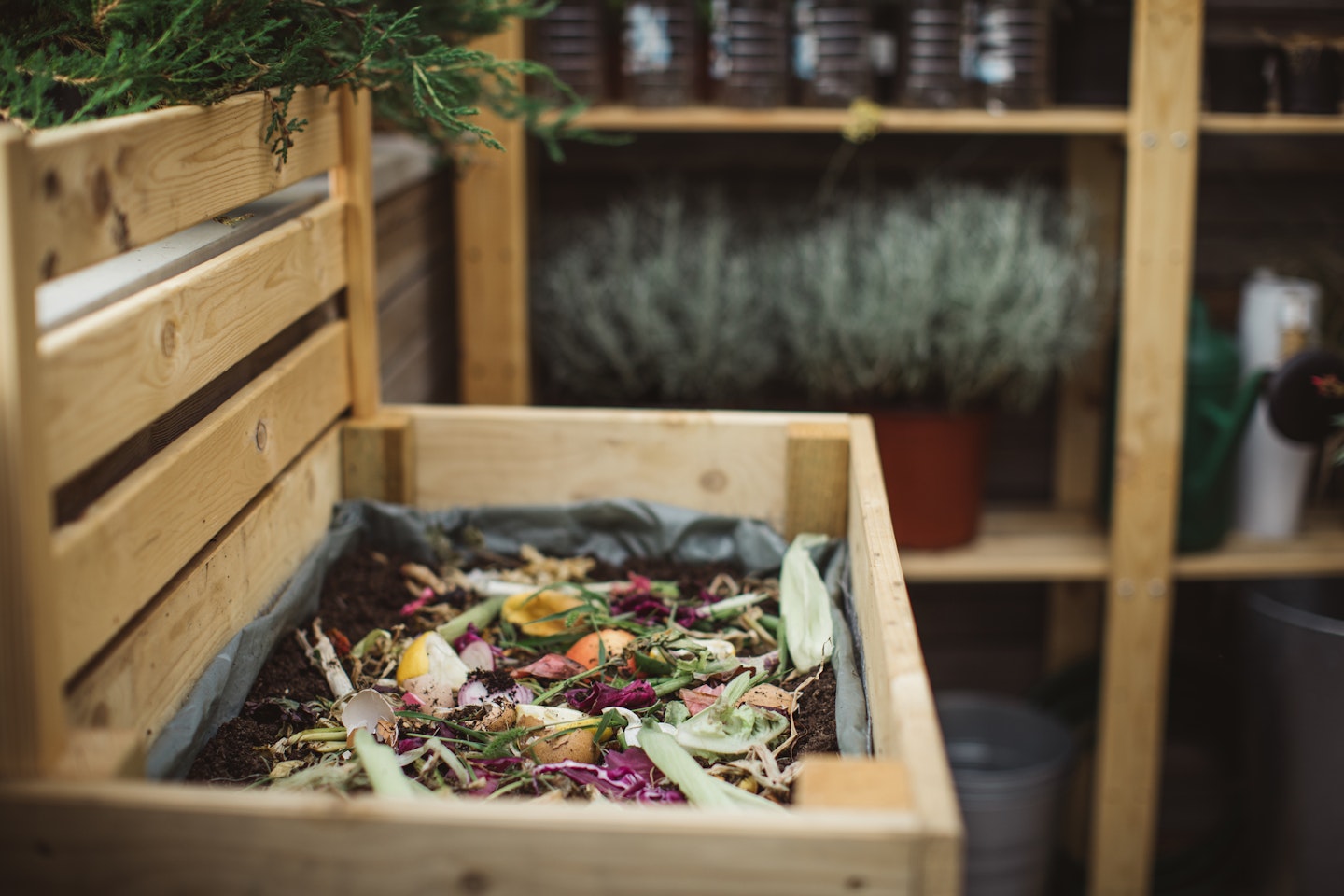 Composting 101