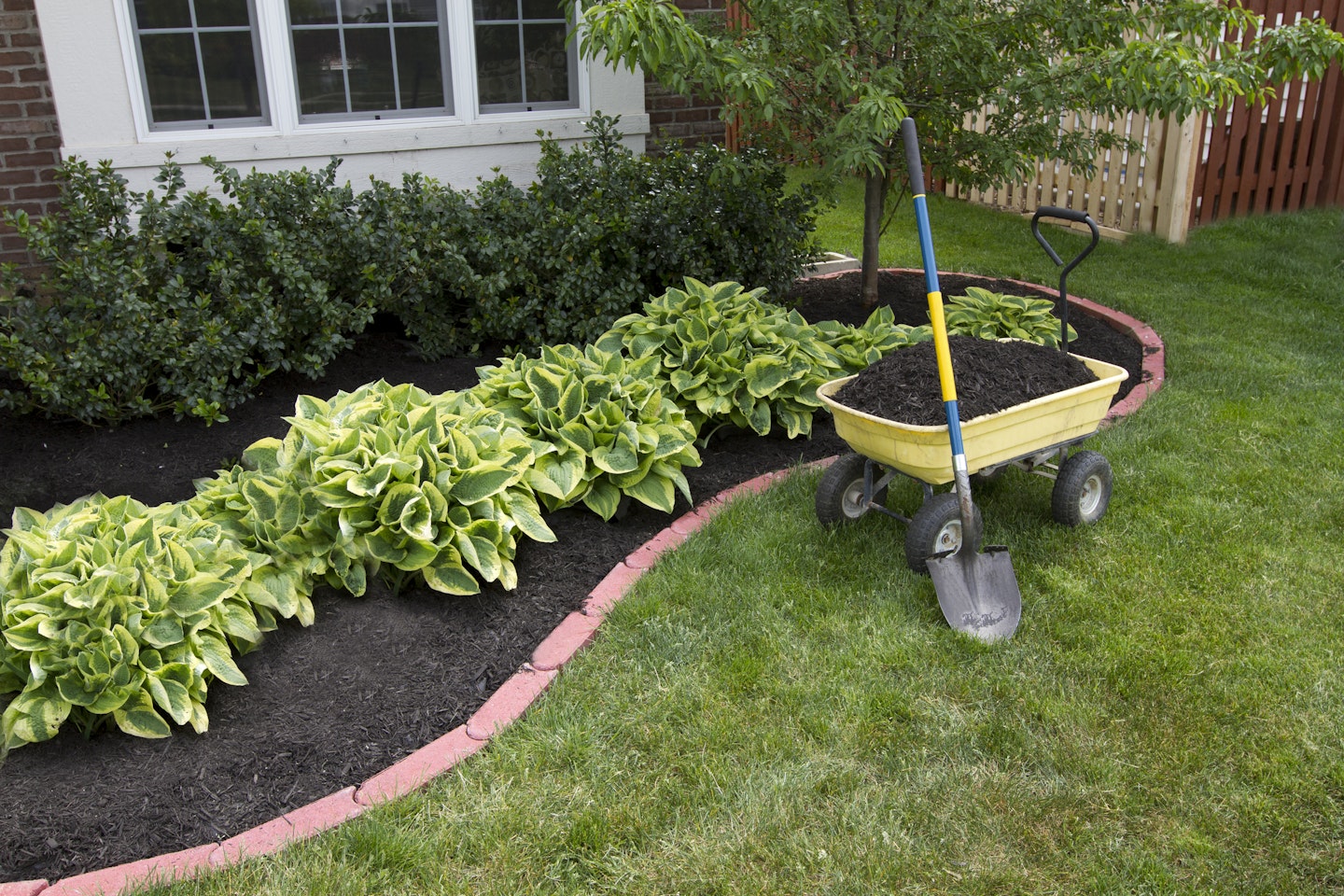 Landscaping Basics