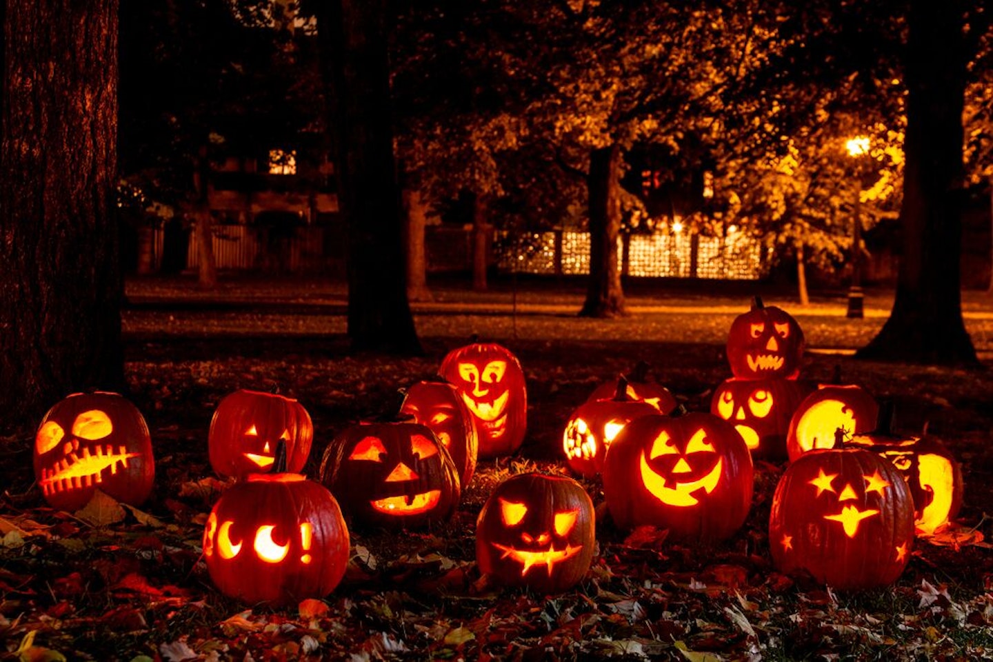 Next-Level Pumpkin Carving