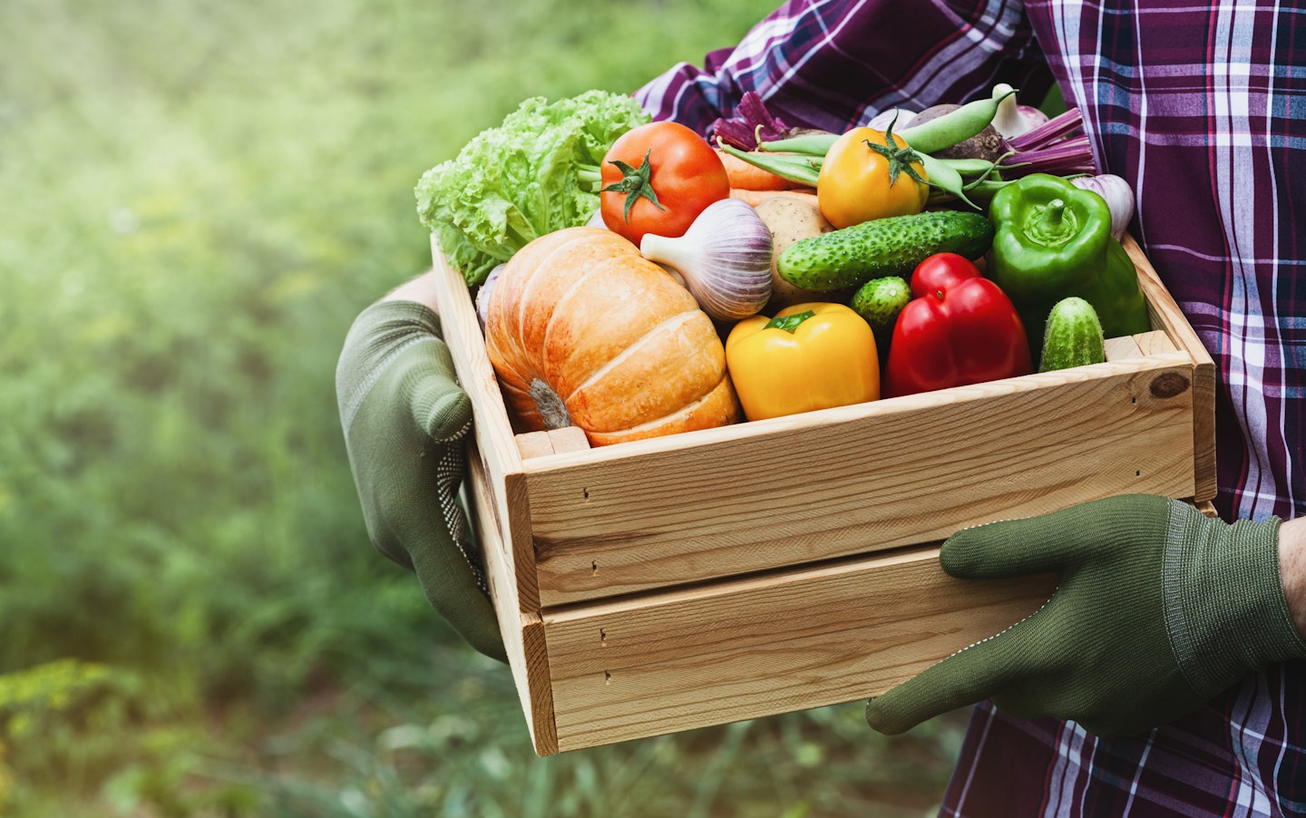 Tips for Fall Garden Harvest