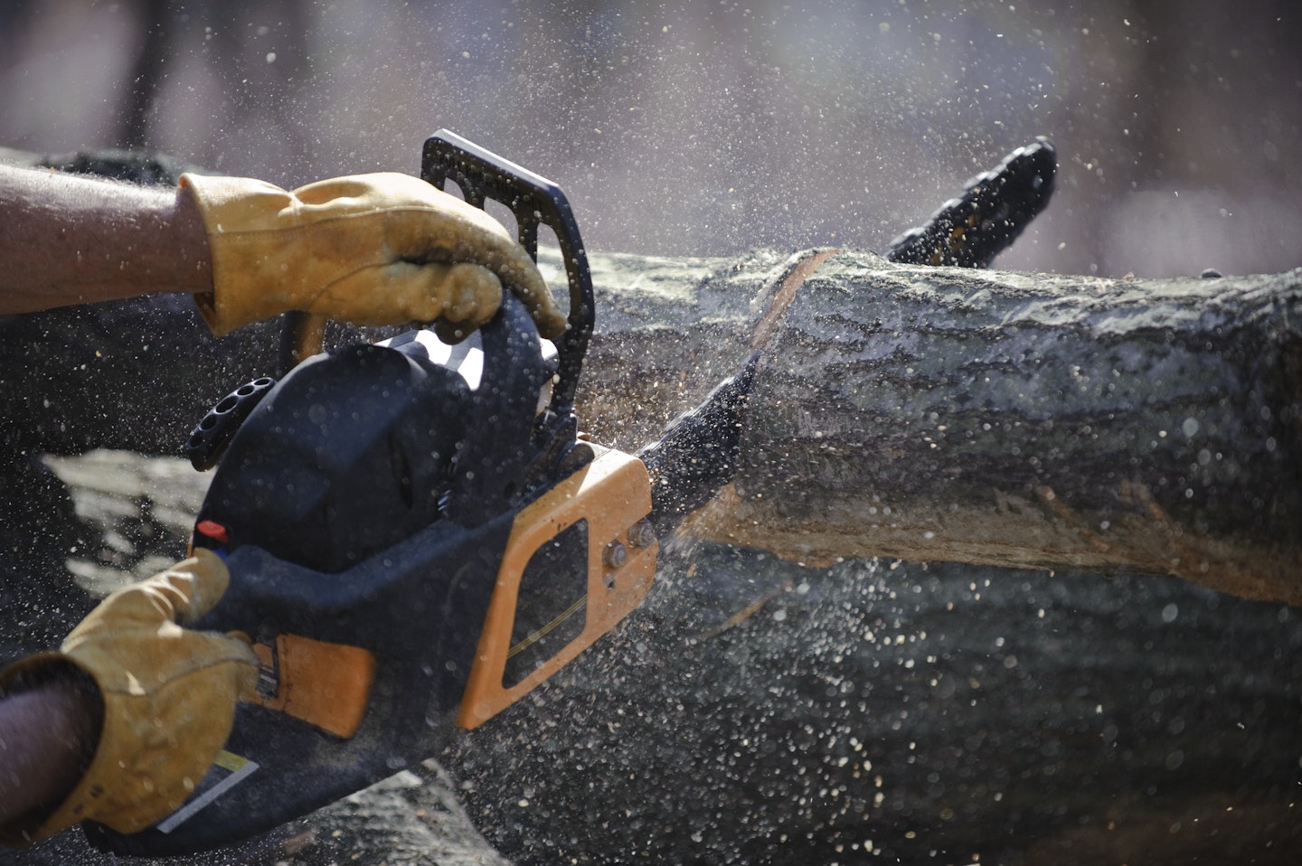 How-to Maintain Your Tools: Chainsaws