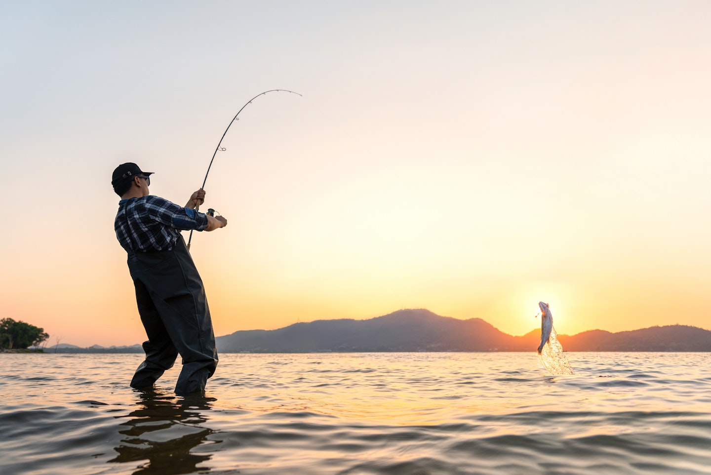 How-to Maintain Your Fishing Rods & Reels