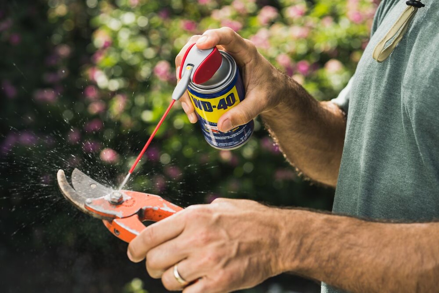 A Fresh Look for Landscaping
