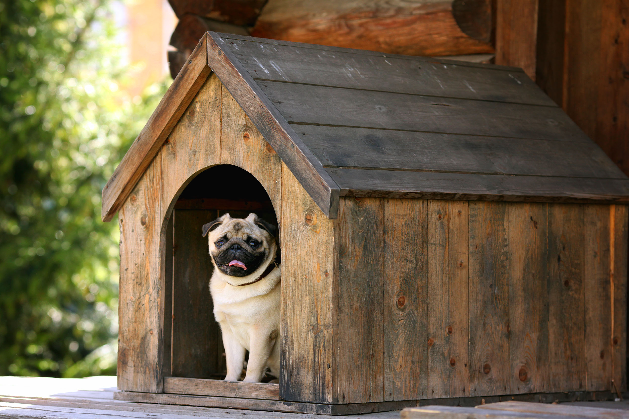 Dog house door flap lowes sale