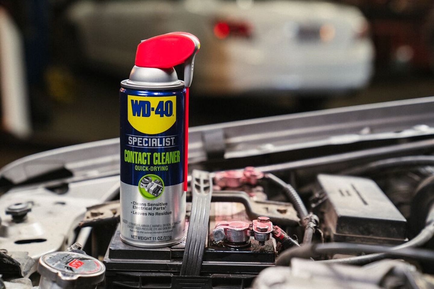 Maintaining Auto and Deep-Cycle Batteries
