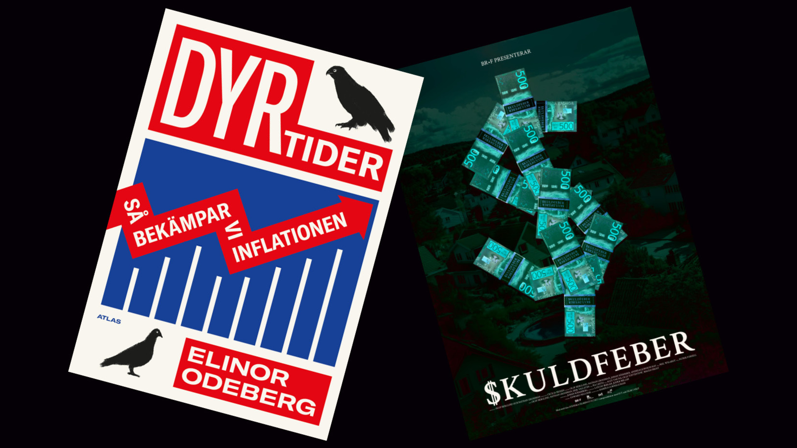 I bild syns framsidan på dokumentären Skuldfeber och boken Dyrtider.