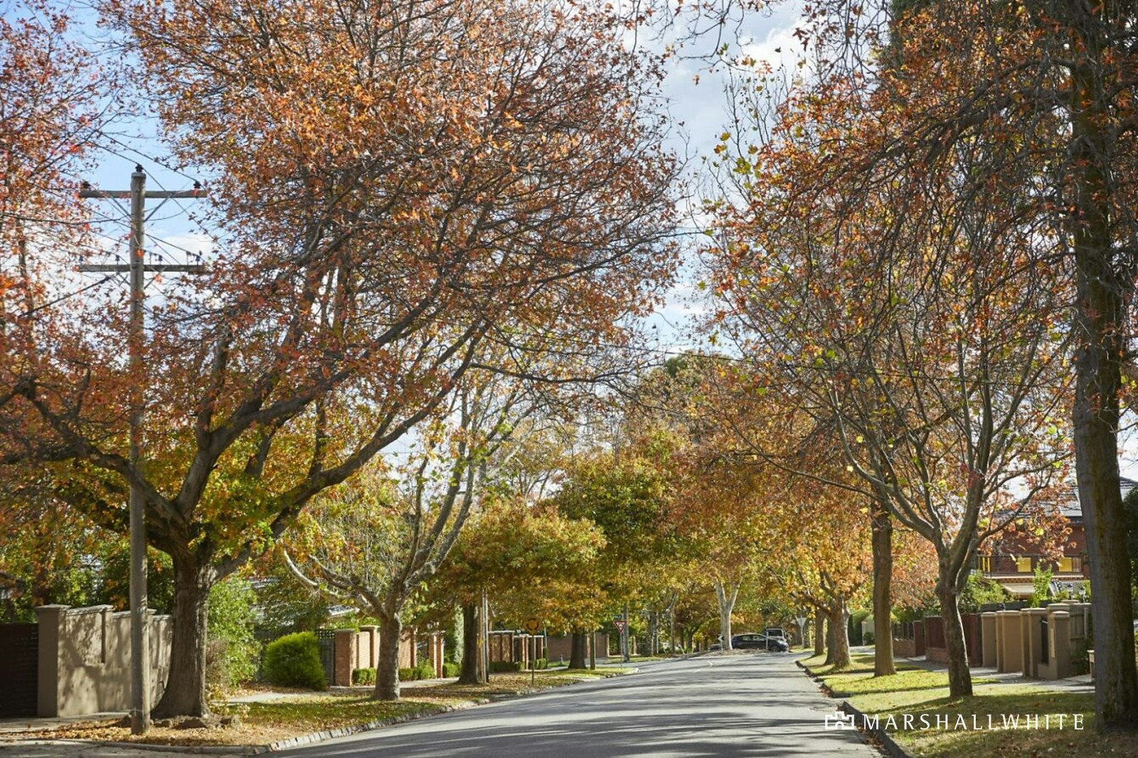 823 Waverley Road, Glen Waverley, VIC