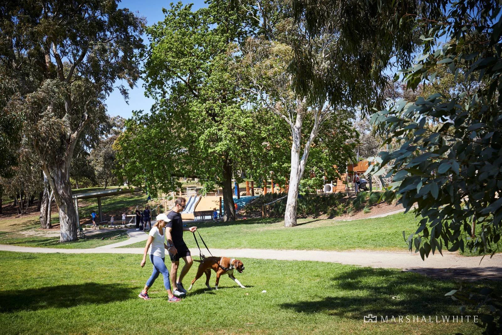 31 Liston Street, Glen Iris, VIC