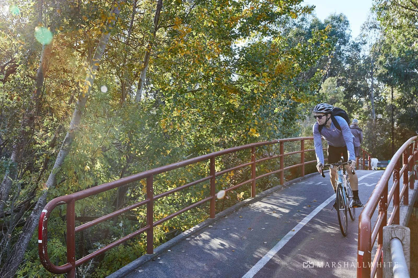 31 Liston Street, Glen Iris, VIC