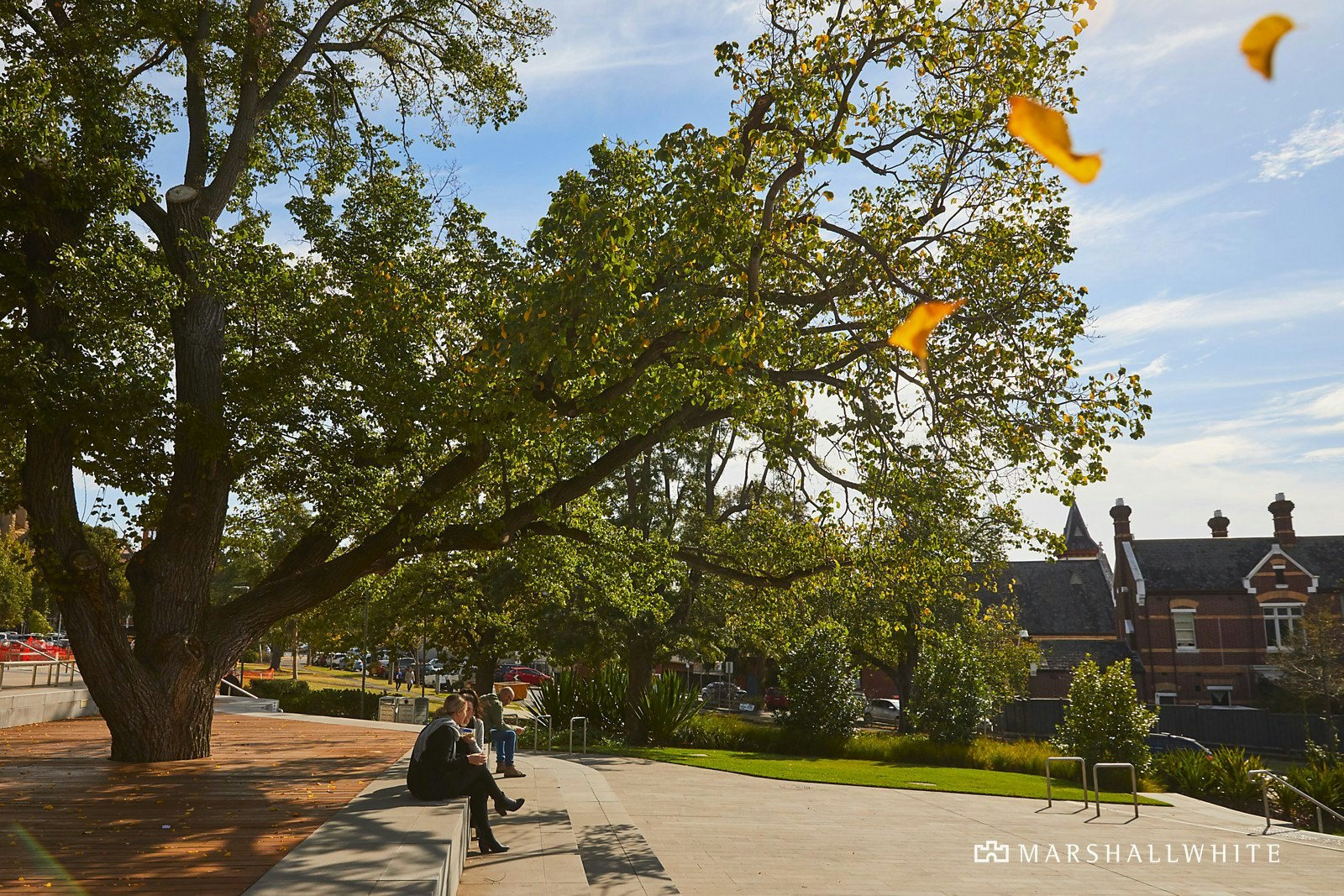 13 Nelson Road, Camberwell, VIC