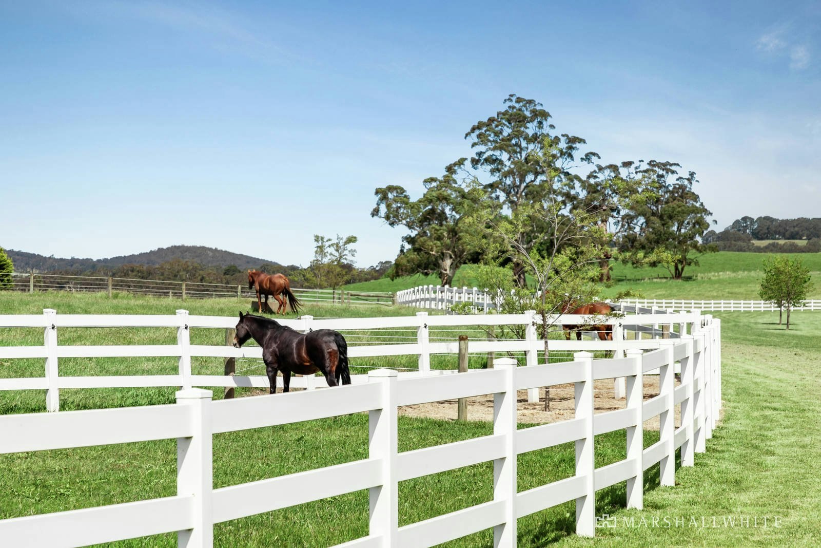 335 Colwells Road, Hesket, VIC