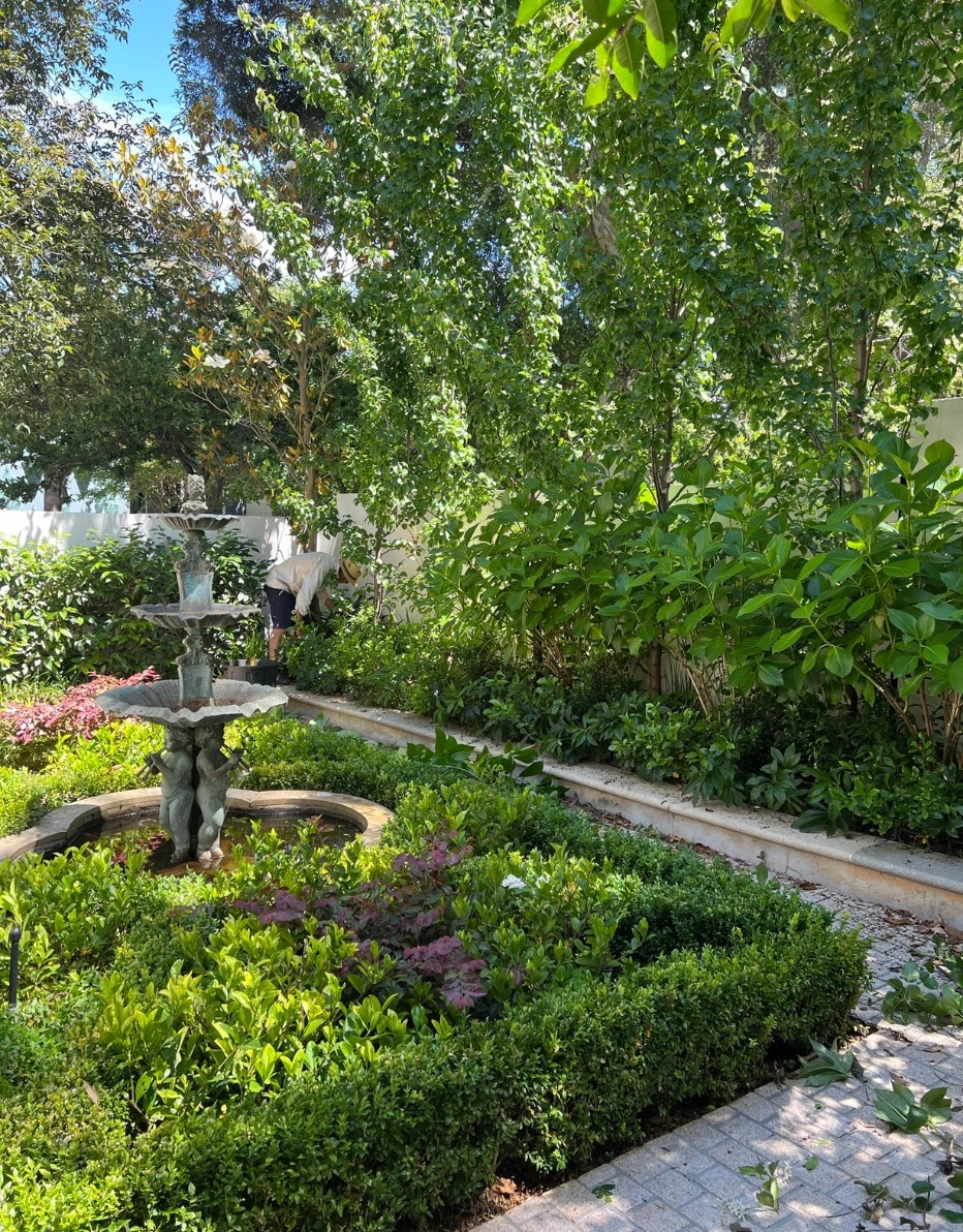 garden
