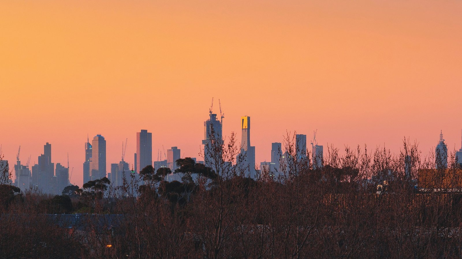 city