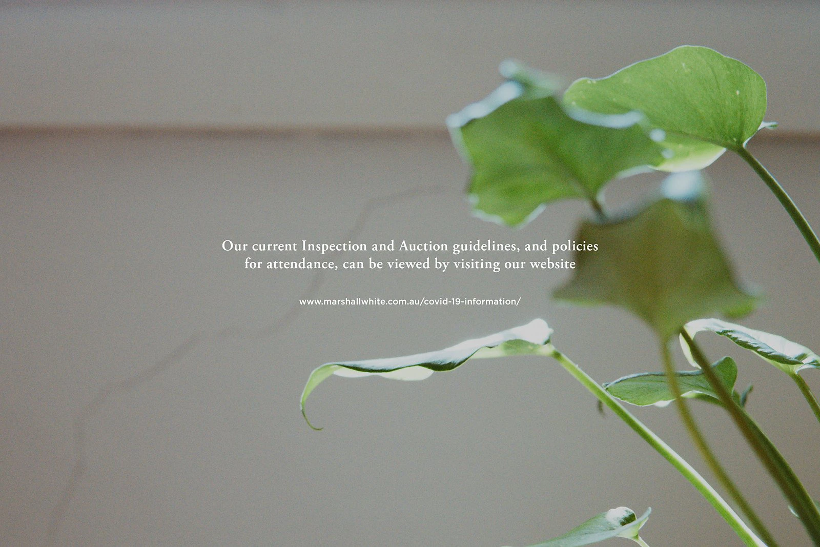 39/65 Riversdale Road, Hawthorn, VIC