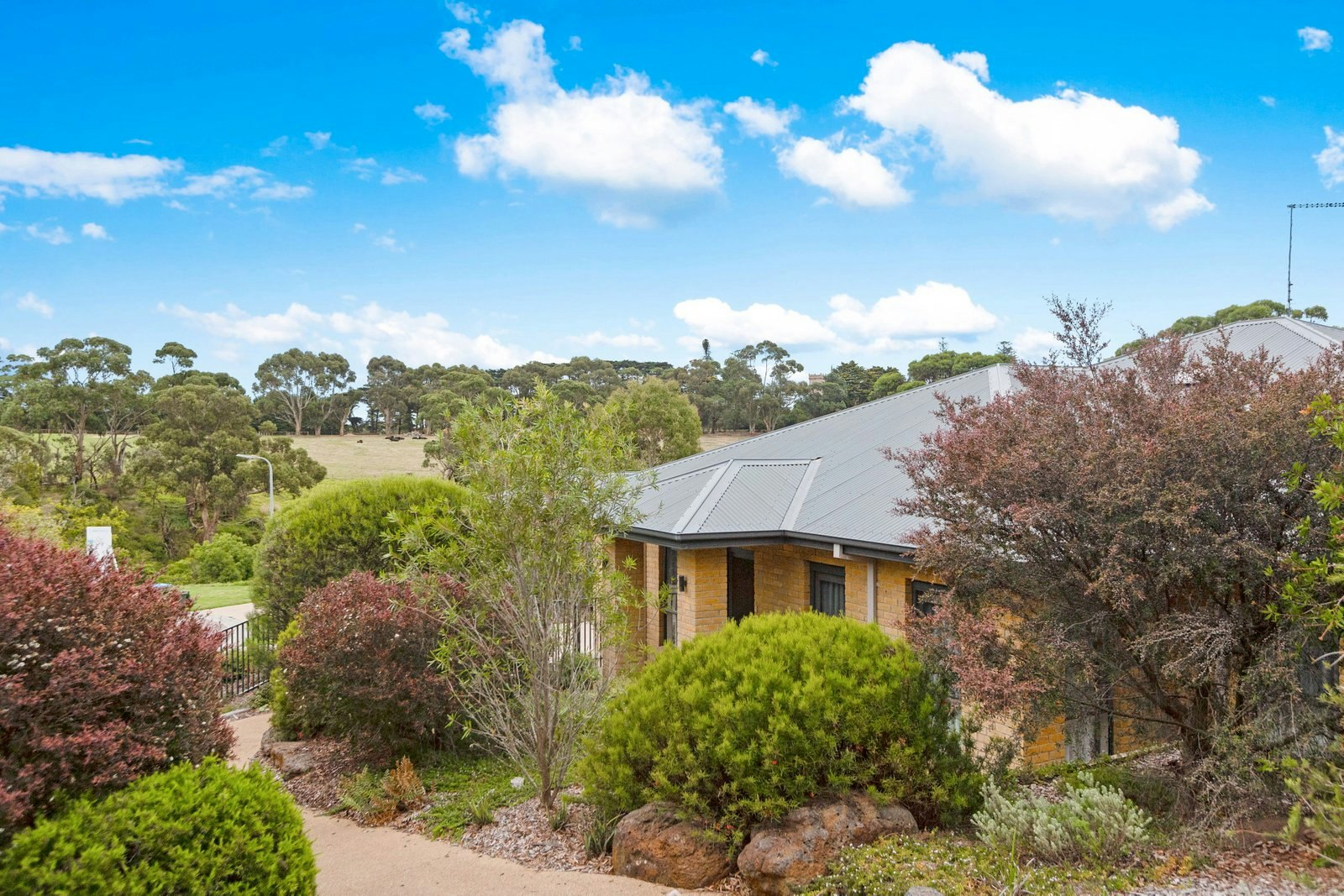 Amy Gowan Real Estate Mornington Peninsula Marshall White