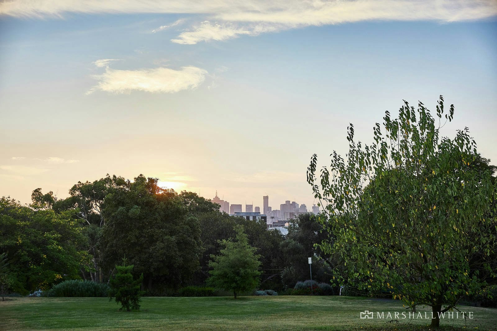 2 Edyvean Street, Surrey Hills, VIC