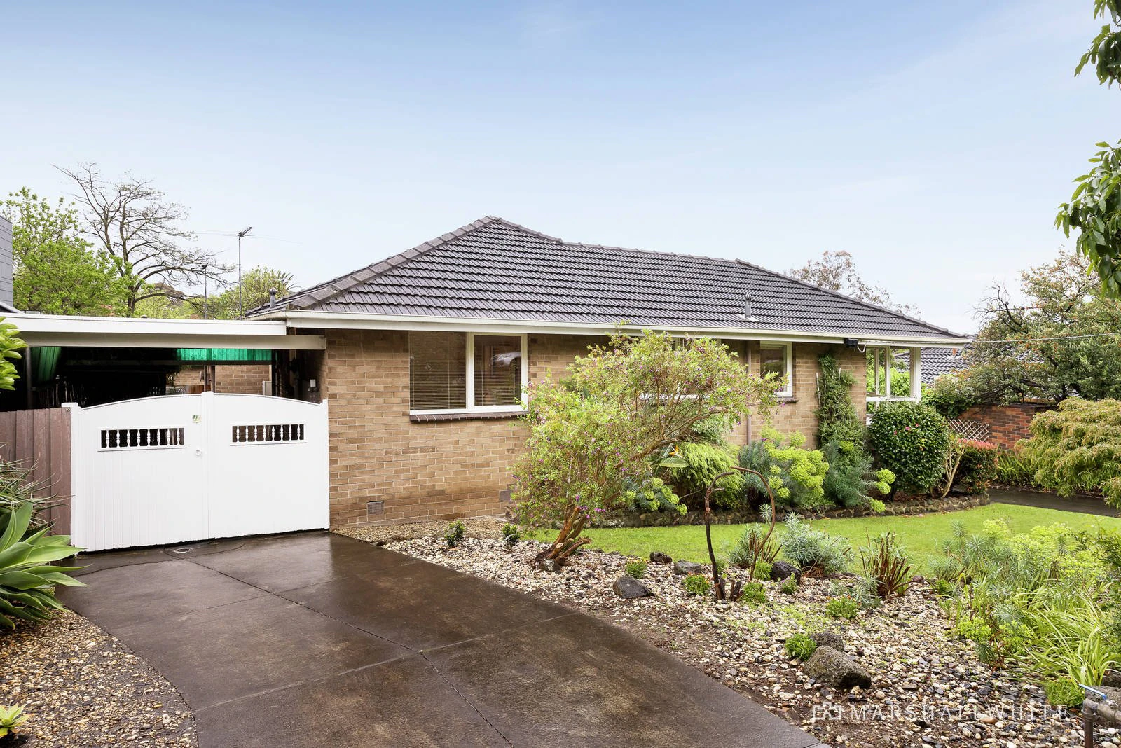 4/10 Norfolk Road, Surrey Hills, VIC