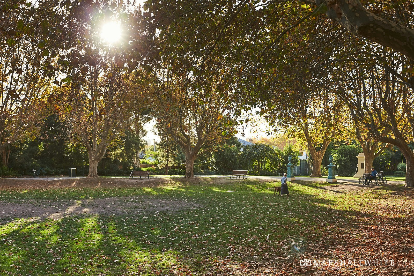 19-21 Lalbert Crescent, Prahran, VIC