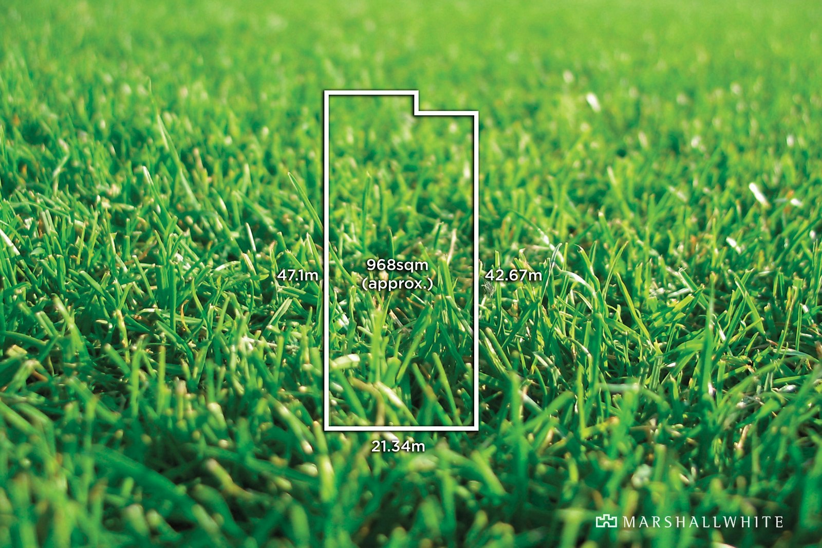 58 Alexandra Avenue, Canterbury, VIC