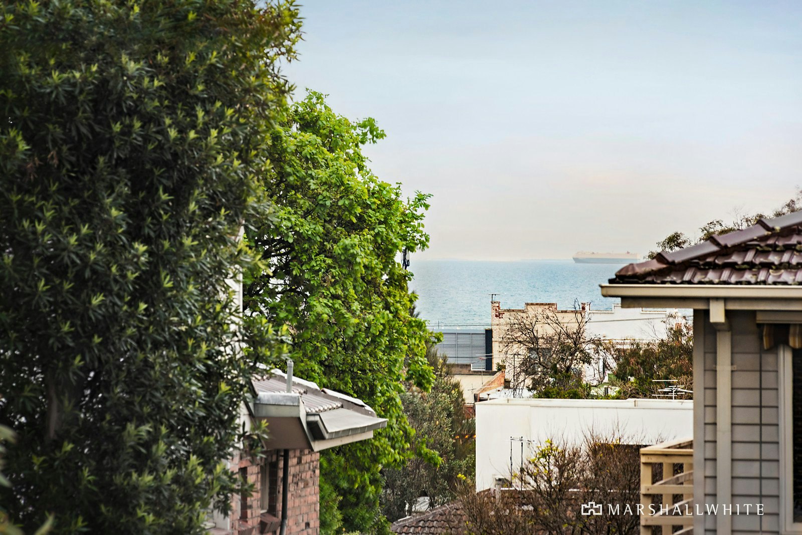 6A College Grove, Black Rock, VIC