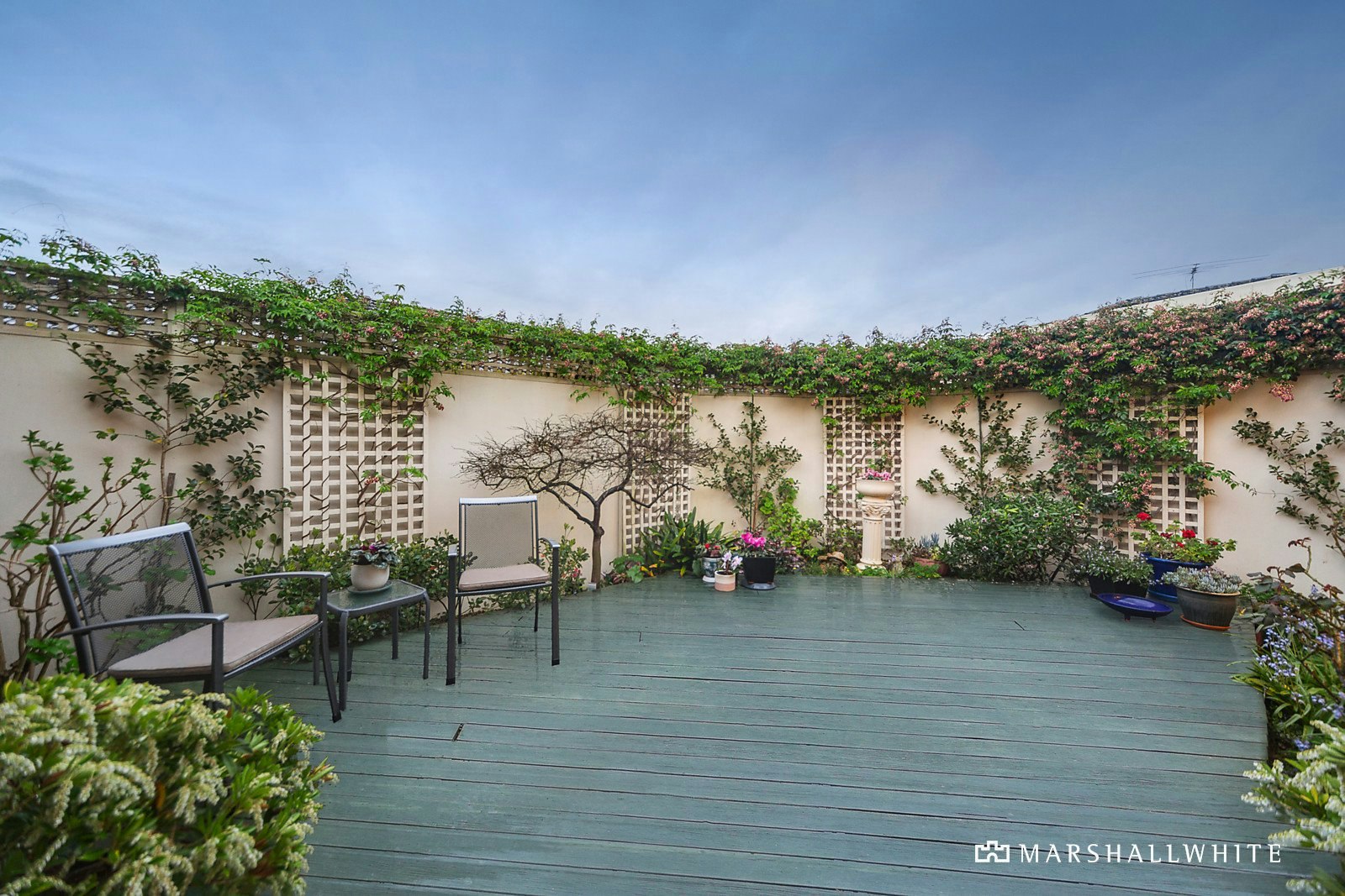 6 Clapham Street, Balwyn, VIC