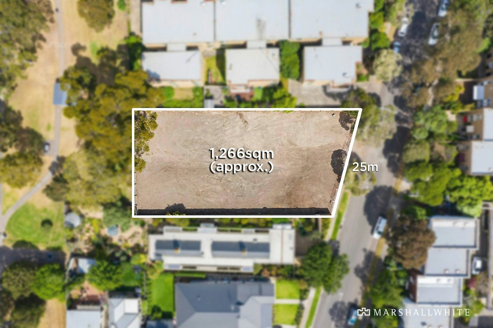neighborhood