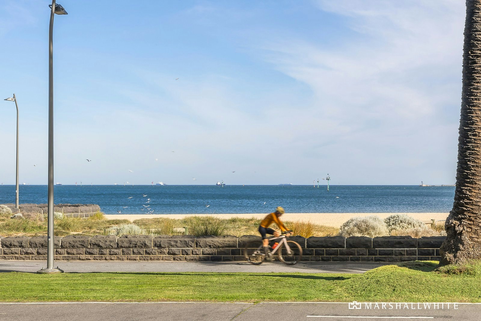 115/99 Nott Street, Port Melbourne, VIC