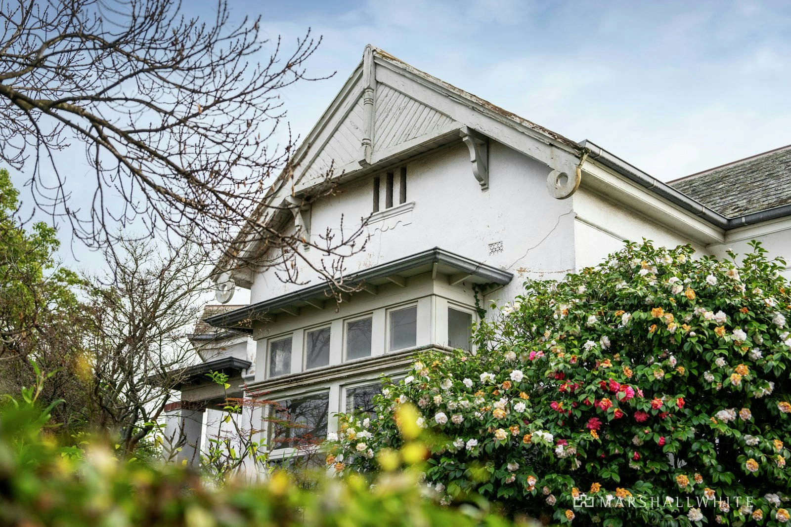 Fraser Cahill Real Estate Agent Stonnington Marshall White