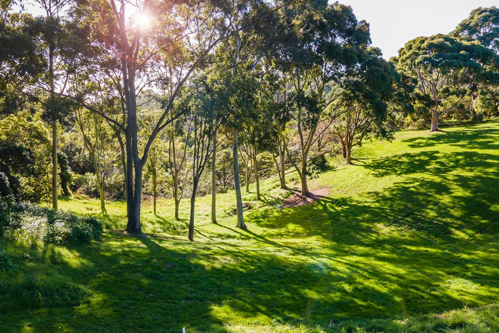 Narrung 16 Narrung Road, MOUNT ELIZA, VIC | Marshall White