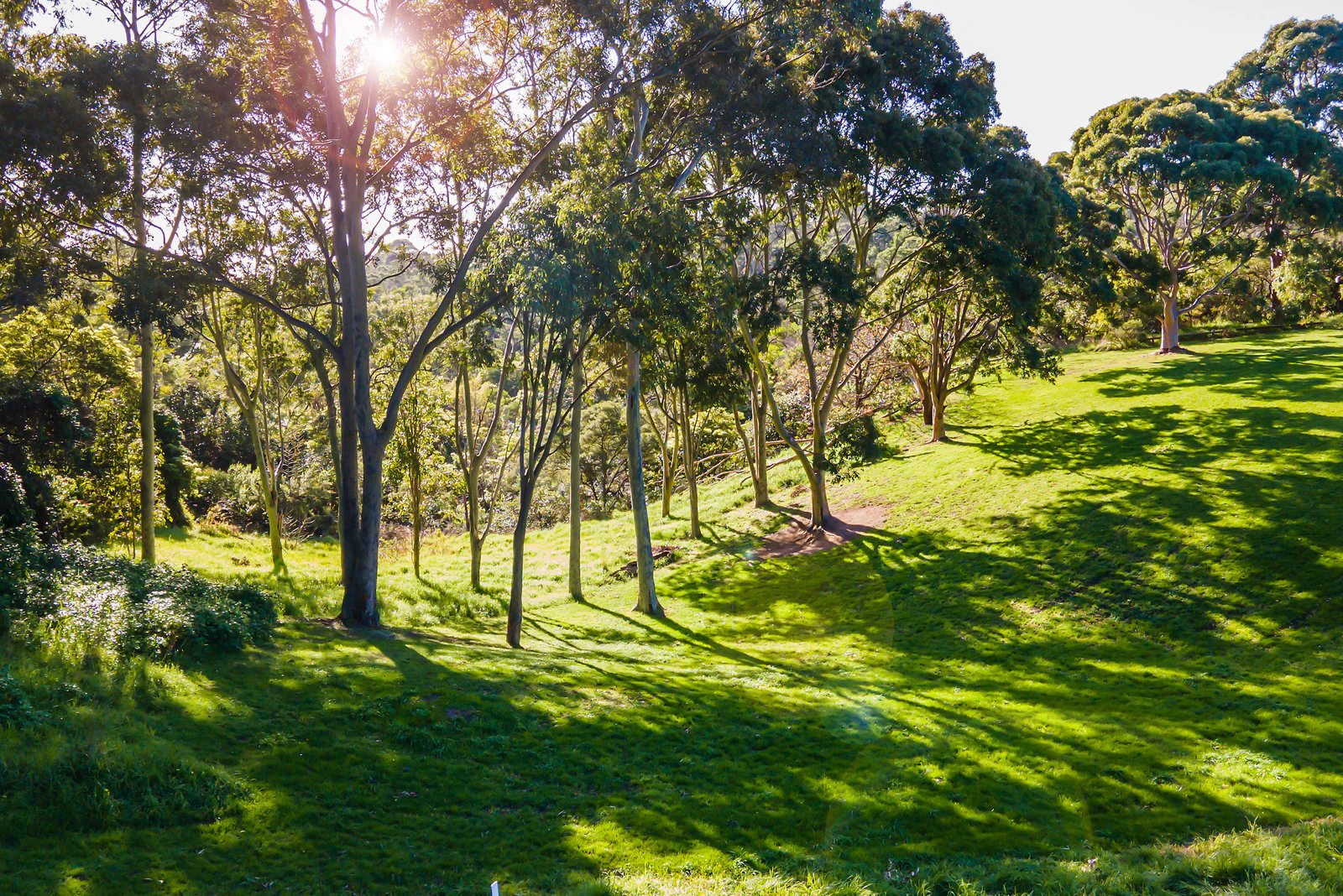 2 Burong Court, MOUNT ELIZA, VIC