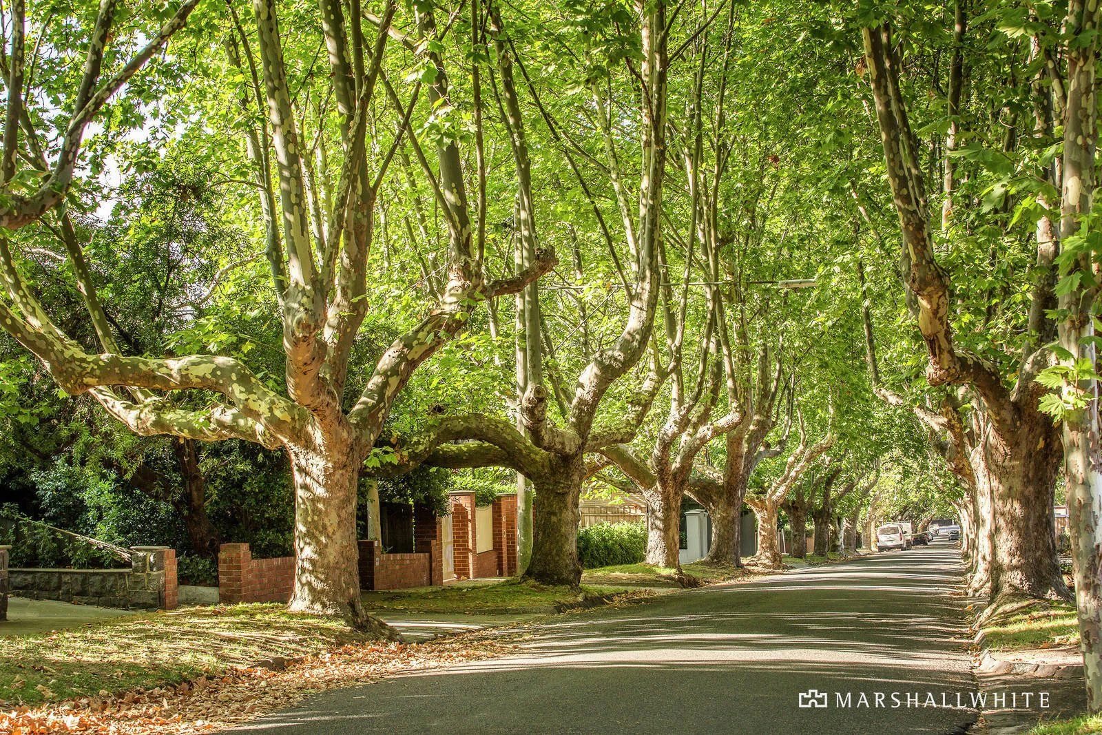 52 Normanby Road, Kew, VIC