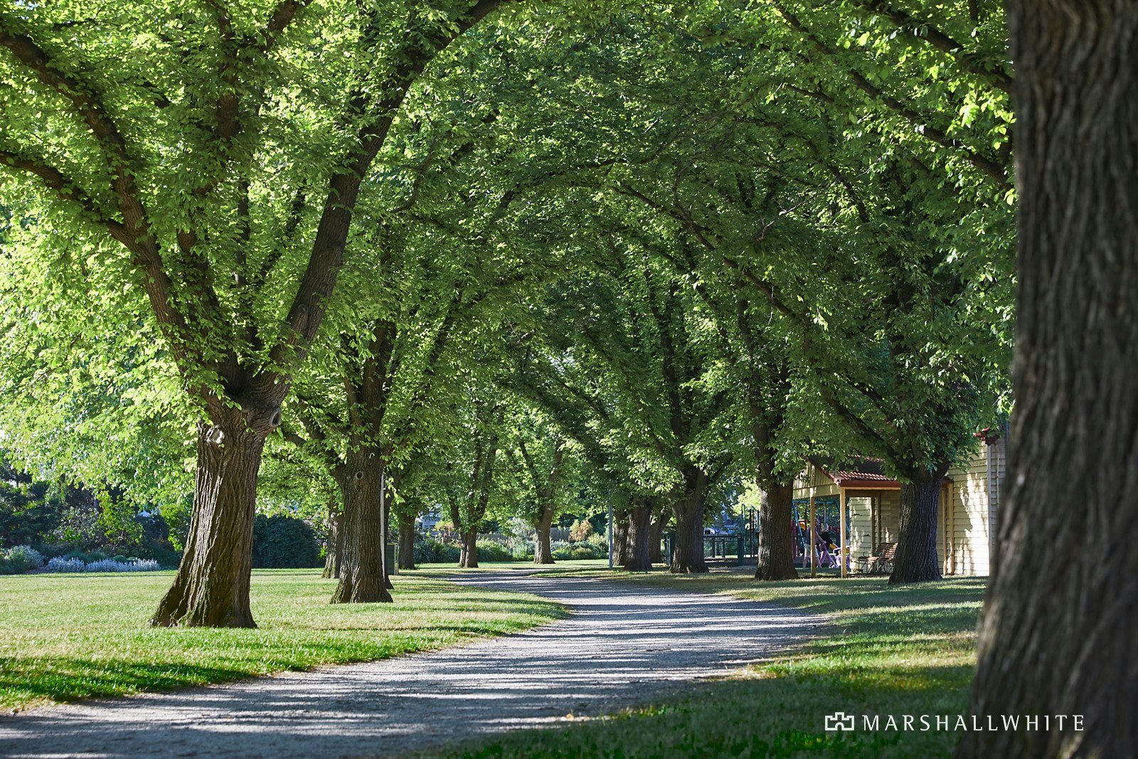40 Claremont Avenue, Malvern, VIC