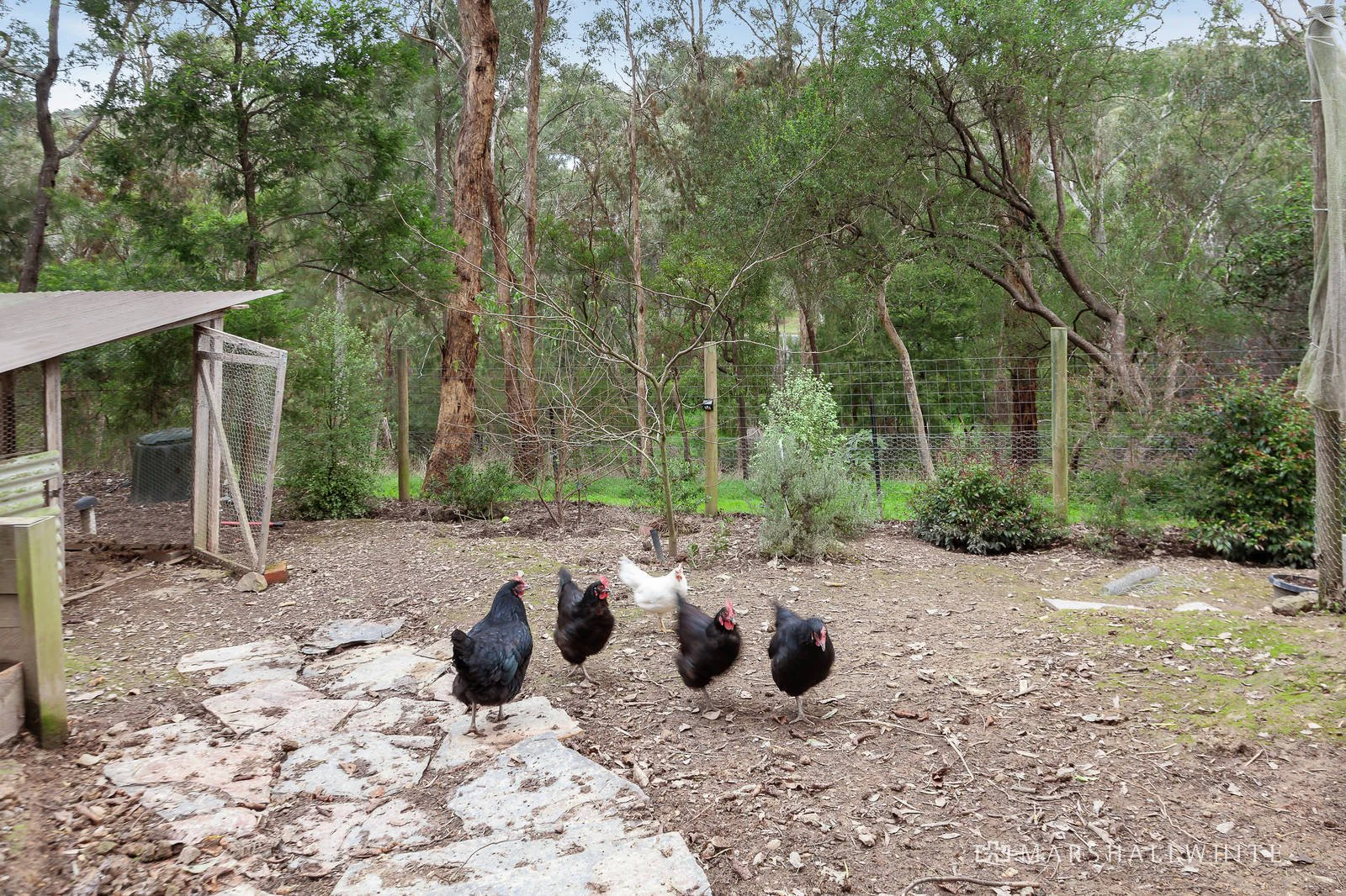 11 Mopoke Hill Road, Warrandyte, VIC