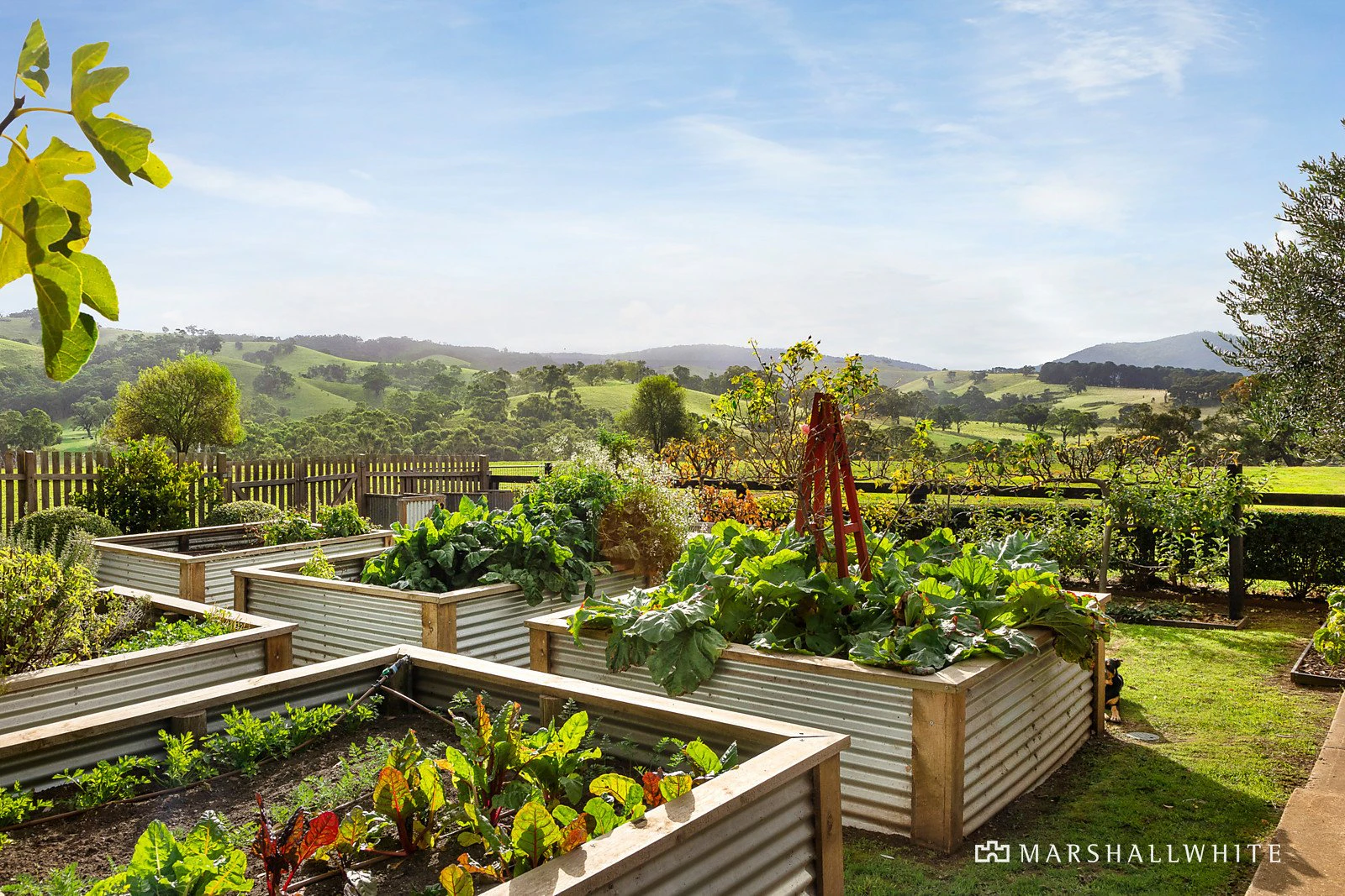 465 McHargs Road, Willowmavin, VIC