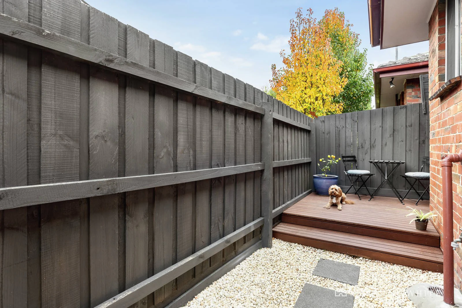 5/100 Cole Street, Brighton, VIC