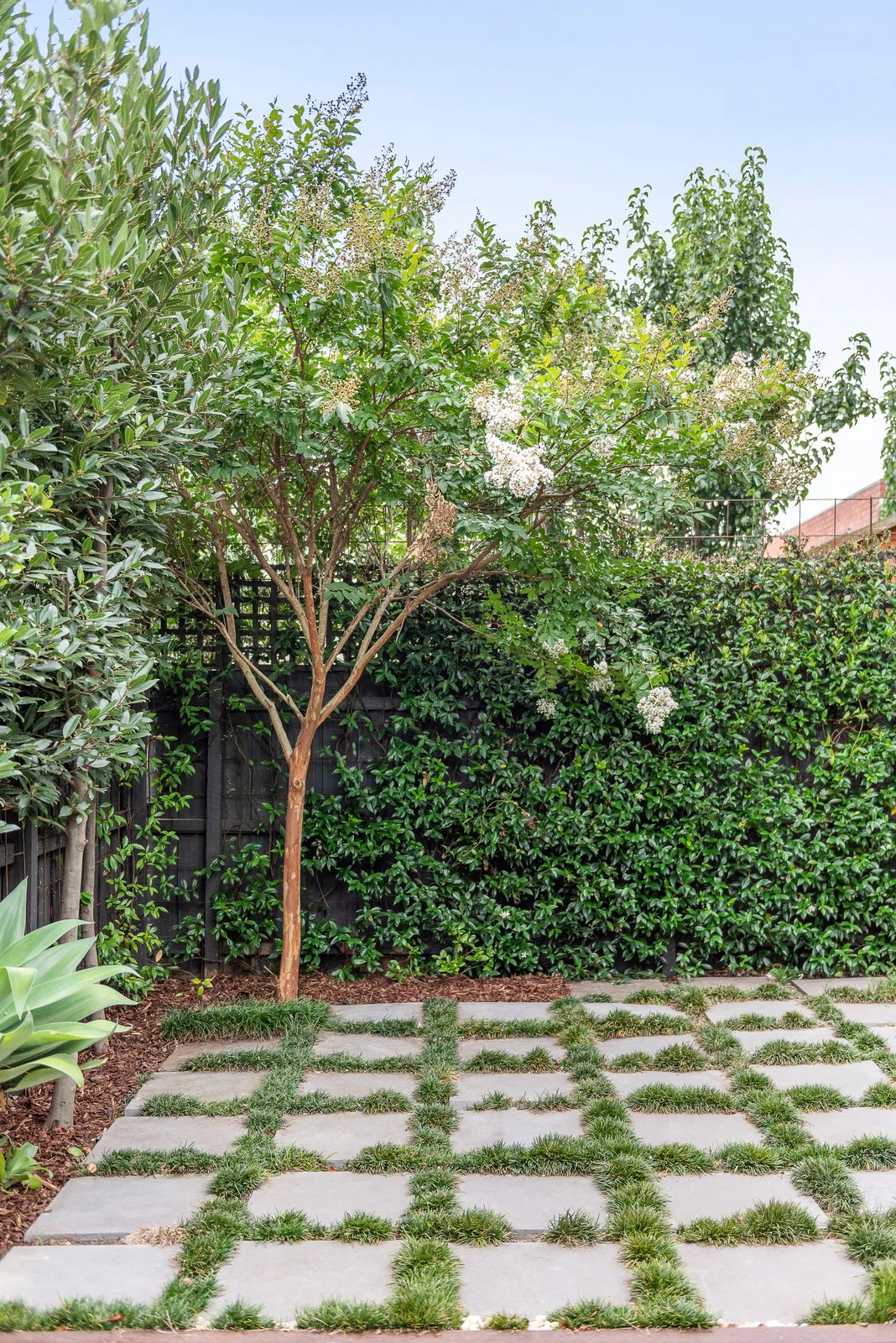 39 Ardrie Road, Malvern East, 3145