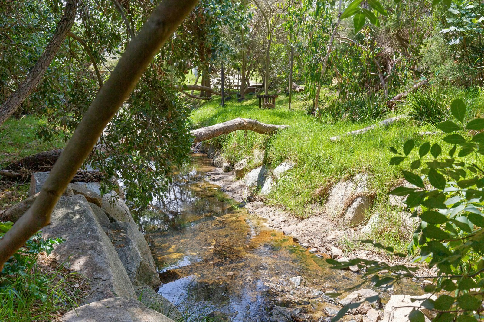 Image of creek