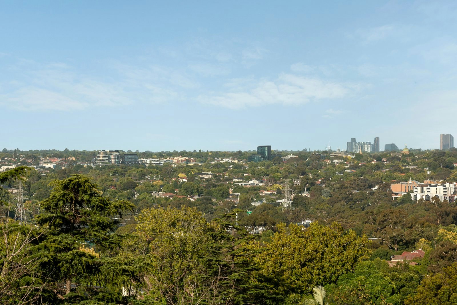 Image of cityscape